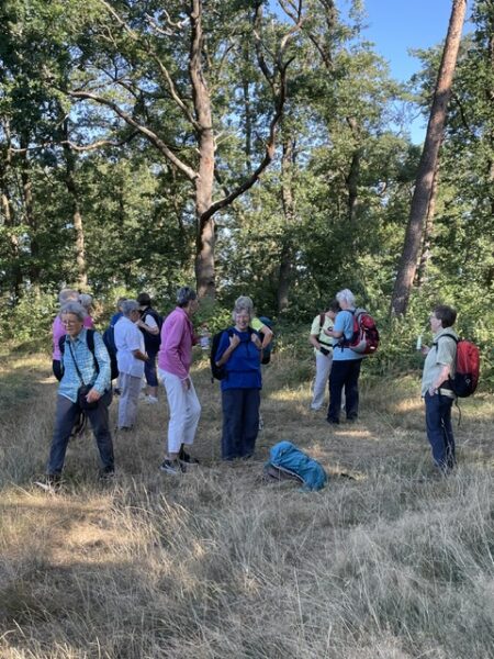 Pause im Hohen Holz